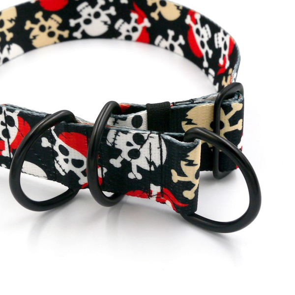 Half-choke collar Pirates, 4 cm wide, medium and big dogs, black extras