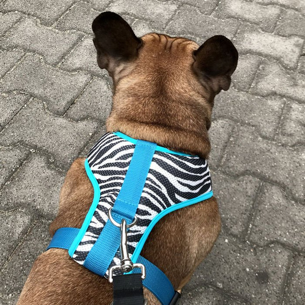 Szelki dla Psa Zebra Bezuciskowe Wygodne Ultramiękkie Psiakrew