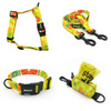 ACCESSORY KIT. Big dog. Lemonade Psiakrew Series; Collar, Harness, Leash, Pouch