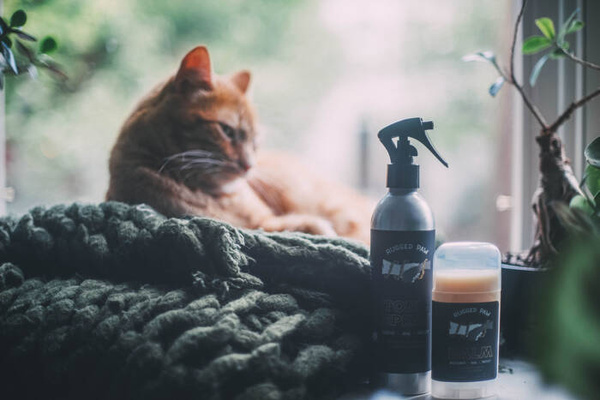 Dog spray for everyday use RUGGED PAW TONIC SPRAY