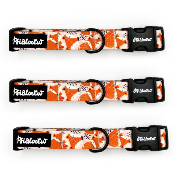 Obroża dla Psa Regulowana Foxy Lady Psiakrew, szer. 2 cm, mały pies, okucia czarne