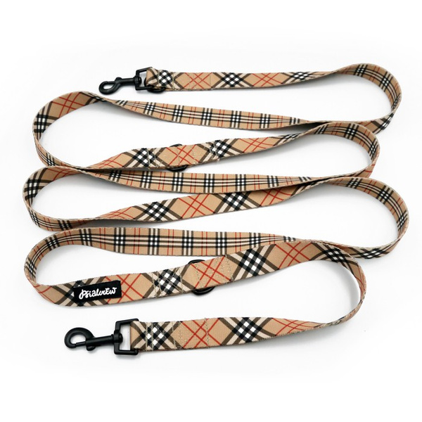 Hundeleine Dogberry Psiakrew, Breite 2,5 cm, Karabiner 6 cm schwarz