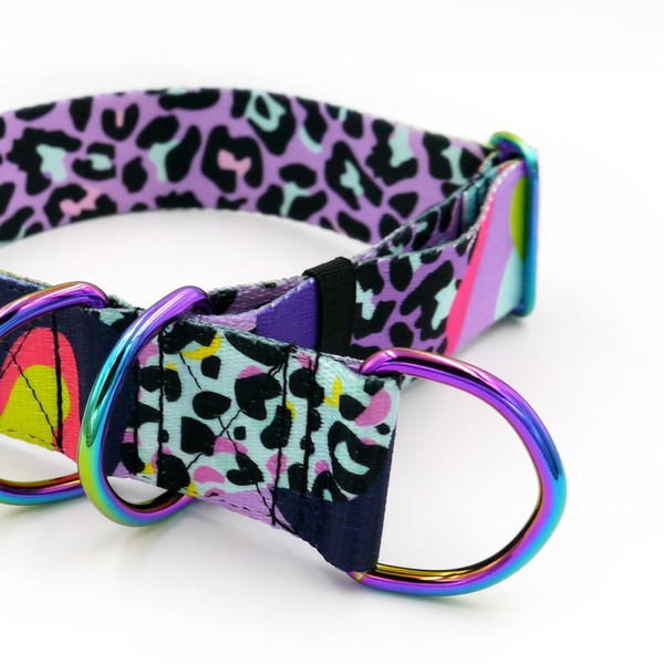 Crazy Leopard Half-Clamp-Halsband, 4 cm breit, für mittlere und größere Hunde, holo Beschläge