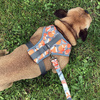 Dog Harness Foxy Lady, Always Feeling Cool, Super Soft Psiakrew