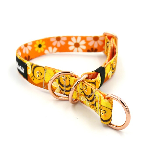 Half-choke collar Busy Bees, 2 cm wide, for small dogs, golden extras