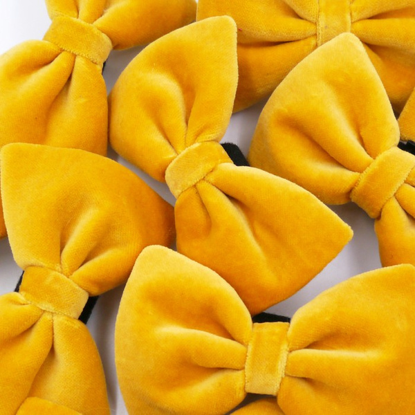 Velvet yellow bow tie for a dog an elegant ornament for special occasions, attached to the collar