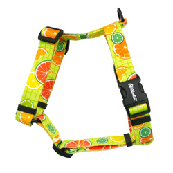 Harness for Dog, Lemonade Psiakrew Guard Harness Small Harness for small dogs, puppies, black extras