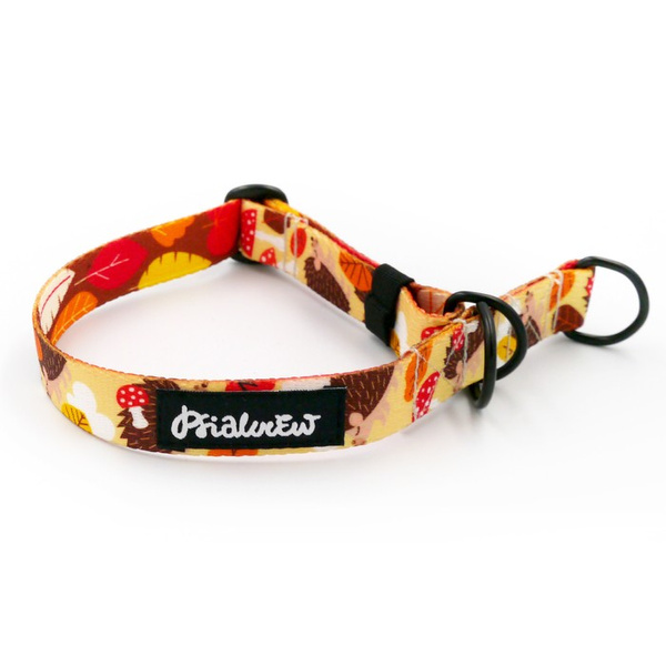 Half-Choke-Halsband Träumer Igel, 2 cm breit, für kleine Hunde, schwarze Accessoires