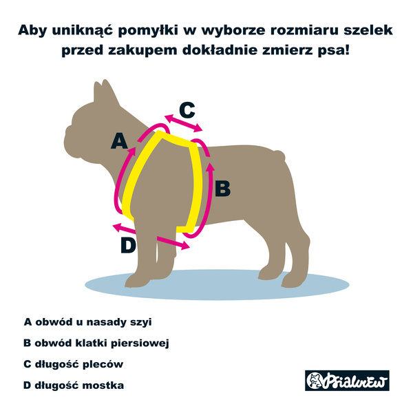 Świąteczne Szelki dla Psa Guard Cynamonowe Pierniczki Psiakrew, mały pies taśma 2 cm, okucia czarne