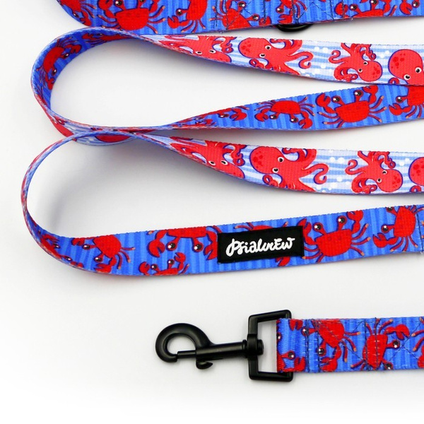 Dog Leash Sea Look width 2.5 cm, 1" wide, snap hook black 6cm