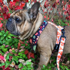 Premium Dog Bandana Autumn handkerchief style to tie around your pet’s neck