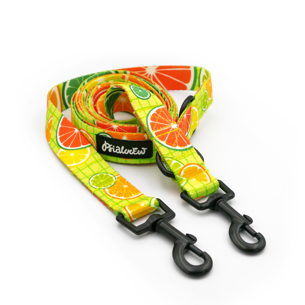 Dog Leash Lemonade Psiakrew width 2.5 cm, 1"  wide, snap hook black 6cm