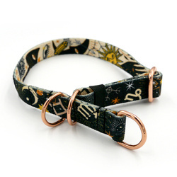 Half-choke collar Zodiac, 2 cm wide, for small dogs, golden extras