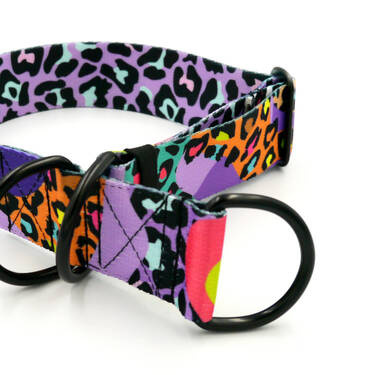 Half-choke collar Crazy Leopard 4 cm wide, medium and big dogs, black extras