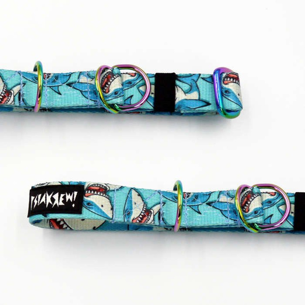 Half-choke collar Shark, 2 cm wide, for small dogs, Holo extras