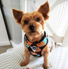 Dog Harness, Wild Animals animal print, Always Feeling Cool, Super Soft Psiakrew