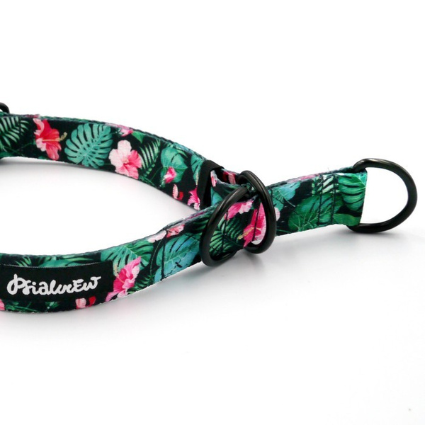 Half-choke collar Tropical Monstera, 2.5 cm wide, medium and big dogs, black extras