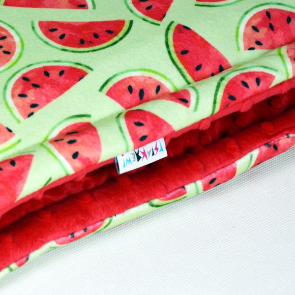 Premium Mat Plaid Blanket for the dog, Watermelon Psiakrew Design