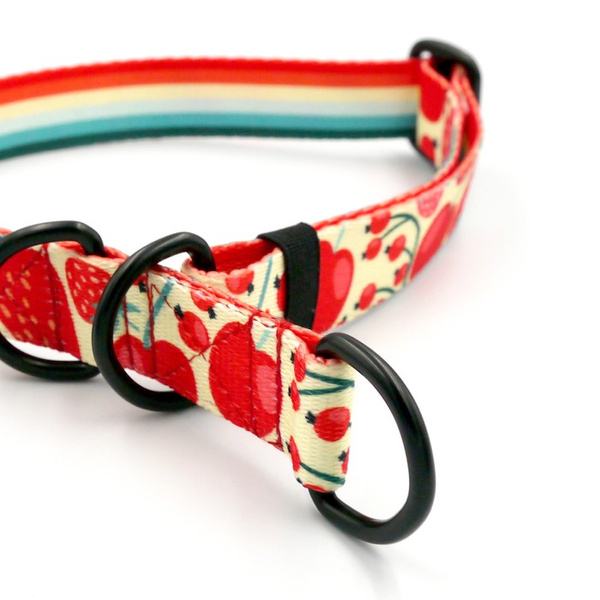Halb-Klemmhalsband Fruit Jelly Psiakrew, 2,5 cm breit, für mittelgroße und größere Hunde, Schwarz-Beschläge