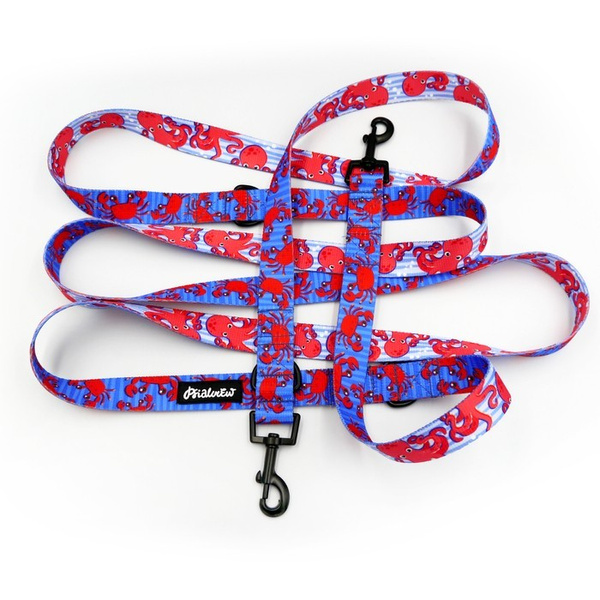 Dog Leash Sea Look width 2.5 cm, 1" wide, snap hook black 6cm