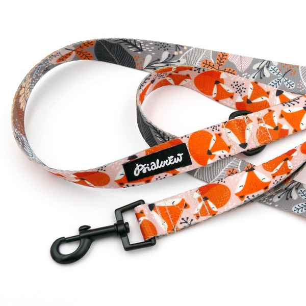 Hundeleine Foxy Lady Breite 2,5 cm, 1" breit, schwarzer Karabinerhaken 6 cm