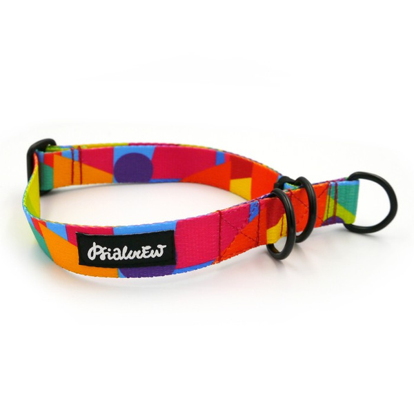 Half-choke collar Kaleidoscope Psiakrew, 2.5 cm wide, medium and big dogs, black extras