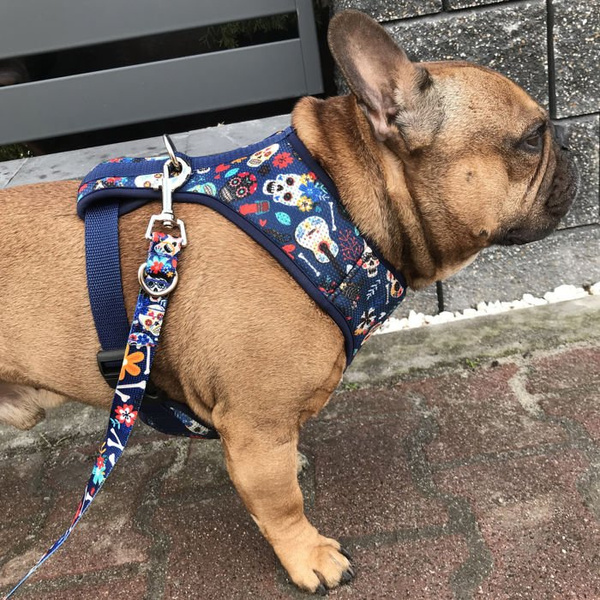 Dog Harness Día de los Muertos, Always Feeling Cool, Super Soft Psiakrew