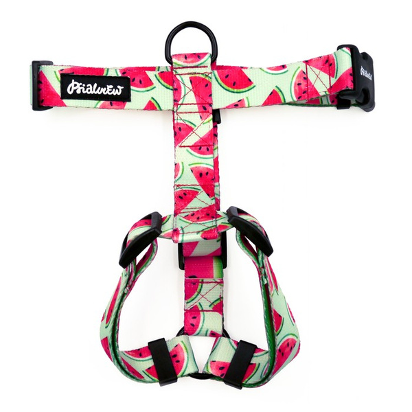 Hundegeschirr, Watermelon Psiakrew, mittlere und größere Hunde, 2,5 cm Gurtband, schwarze Beschläge