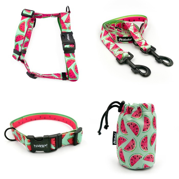 ACCESSORY KIT. Big dog. Watermelon Psiakrew Series; Collar, Harness, Leash, Sachet for dog treats