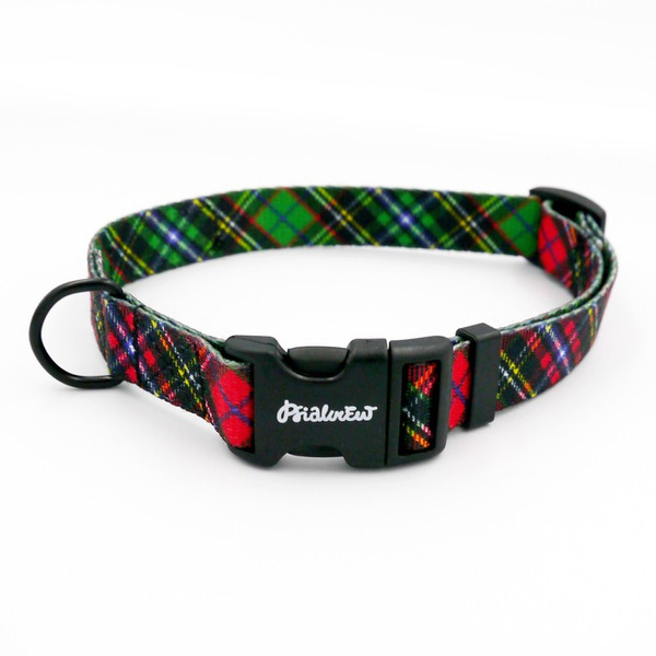 Verstellbares Hundehalsband Tartan Psiakrew, Breite 2 cm, kleiner Hund, schwarze Beschläge