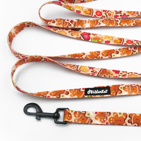 Hundeleine, lang, abnehmbar, verstellbar Zimt-Lebkuchen Psiakrew, Breite 2 cm, Karabiner schwarz 7 cm