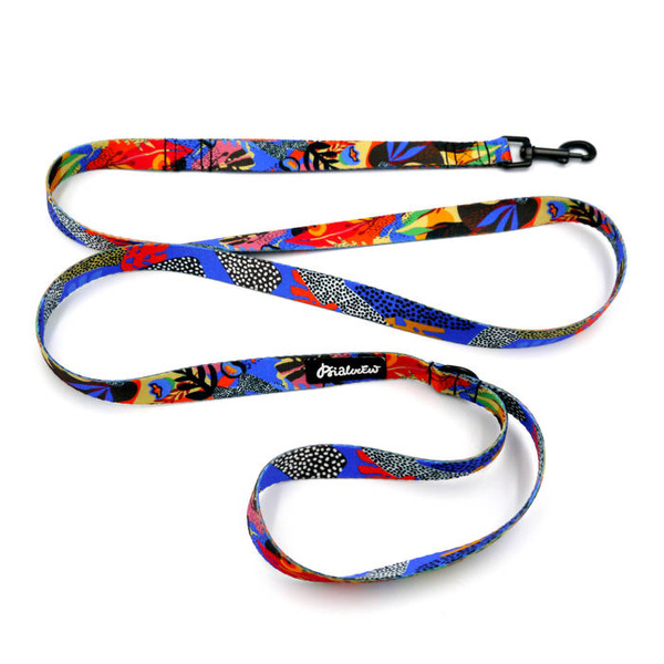 Smycz spacerowa miejska dla Psa Kolorowy Gąszcz Psiakrew szerokość 2 cm czarny karabińczyk 6 cm