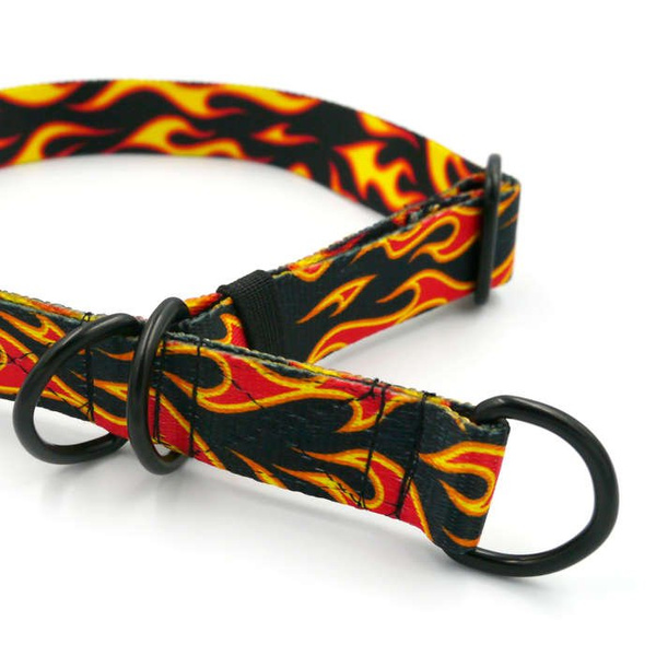 Half-choke collar Dog On Fire, 2.5 cm wide, medium and big dogs, black extras