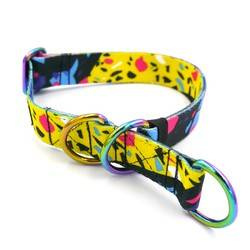 Halb-Klemmhalsband- Terrazzo, 2,5 cm breit, für mittelgroße und größere Hunde, Holo-Beschläge, Psiakrew