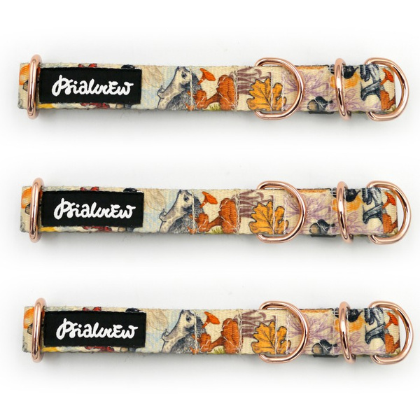 Half-Choke-Halsband Forest Treasures, 2 cm breit, für kleine Hunde, goldene Accessoires