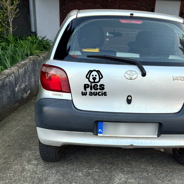 Pies w aucie Psiakrew Bumper Rear Window Vehicle Car Sticker