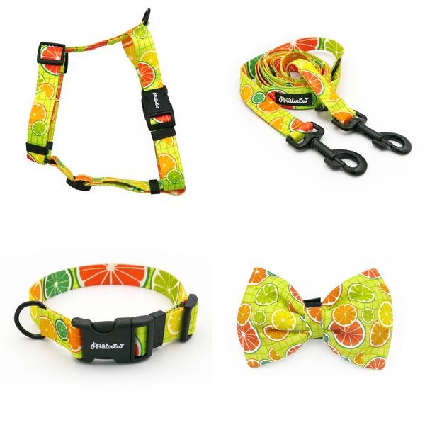 ZUBEHÖRSATZ. Großer Hund. Lemonade Psiakrew - Serie; Halsband, Geschirr, Leine, Fliege