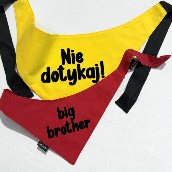 BIG BROTHER Hundehalstuch Psiakrew