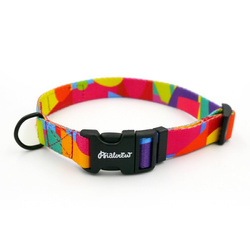 Dog Collar Kaleidoscope Psiakrew, 2 cm 0.78"  wide, for smaller dogs black extras