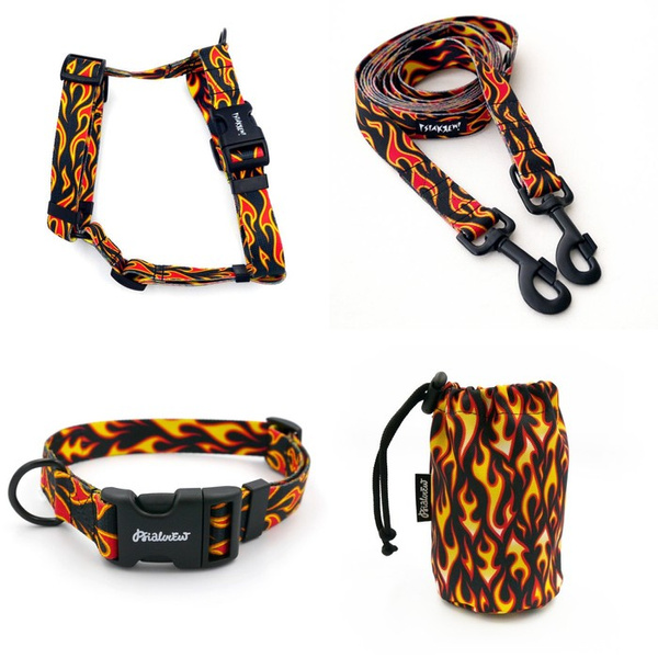 ZUBEHÖRSATZ. Großer Hund. Dog on Fire Psiakrew - Serie; Halsband, Geschirr, Leine, Sachet für Hundeleckerli