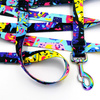 Dog Leash- Terrazzo width 2.5 cm, 1"  wide, holo snap hook 8cm, Psiakrew