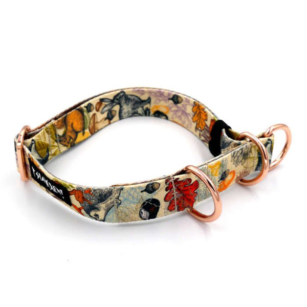 Half-choke collar Forest Treasures, 2.5 cm wide, medium and big dogs, rose gold