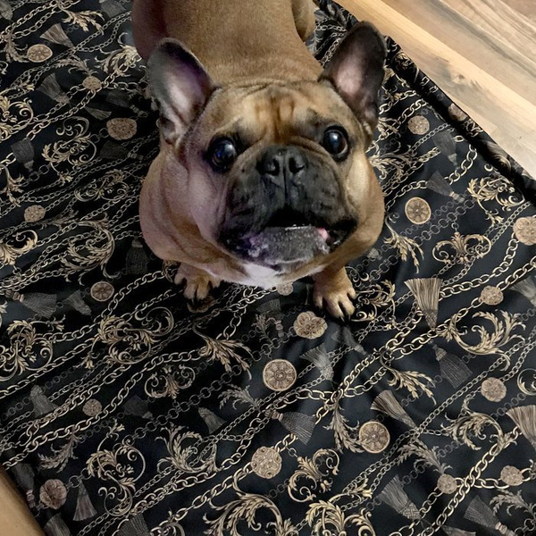 Waterproof Mat for the dog, puppy, cat, Donatella, Psiakrew Design