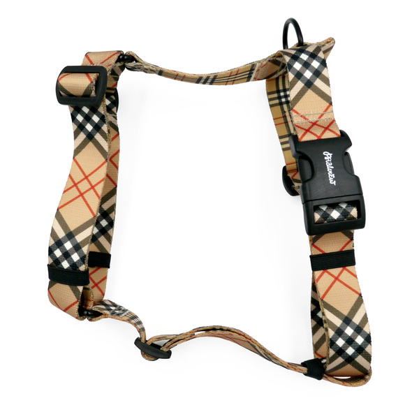 Geschirr für Hund Dogberry Psiakrew für einen großen Hund, 3 cm Band