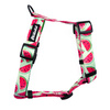 Harness for Dog, Model Watermelon Guard Harness, for medium dogs, black extras