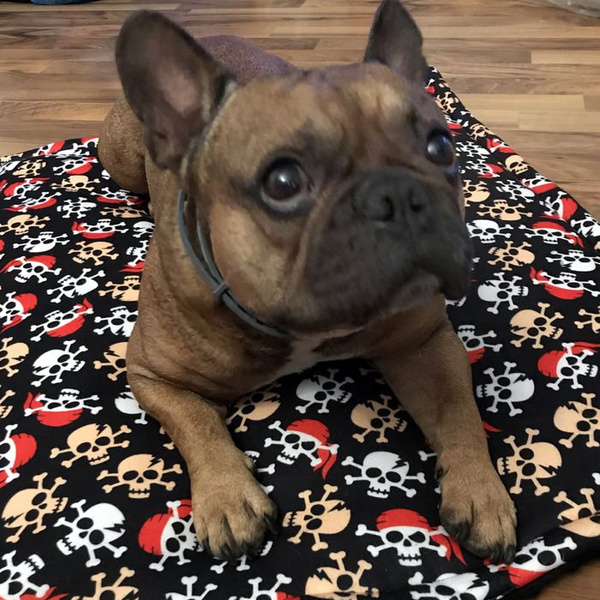 Premium Mat Plaid Blanket for the dog, Pirates Psiakrew Design