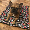 Premium Mat Plaid Blanket for the dog, Pirates Psiakrew Design