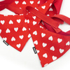 Dog bandana with Hearts pattern Psiakrew handkerchief style to tie around your pet’s neck