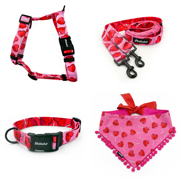 ACCESSORY KIT. Medium dog. Psiakrew Lollipops Series; Collar, Harness, Leash, Bandana