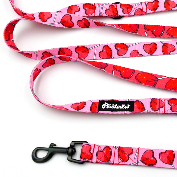 Hundeleine Lollipops Psiakrew Breite 2 cm, schwarzer Karabinerhaken 6 cm